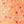 Honey Peach Floral