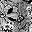 Black White Flower