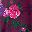 Deep Claret Painted