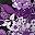 Purple Rose Paisley