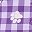 Plum Burst Plaid Paw