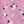 Pink Sheep
