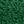 Grass Green