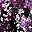 Black Berry Garden