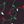 Black Holiday Lights