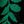 Black Vine Leaves