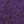 Midnight Violet Ditsy