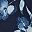 Navy Iris Floral