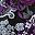 Black Paisley Roses