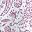 Ivory Orchid Paisley