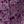 Dark Berry Paisley