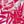 Pink Burst Tropical