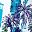 White Tropical Beach