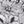 Black White Flower