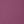 Mauve Orchid