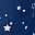Evening Blue Stars