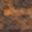 Rustic Brown