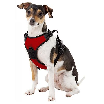 Ohio state dog harness best sale