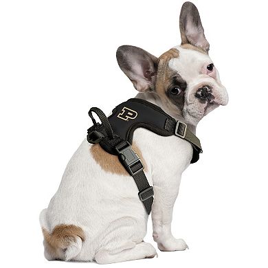 NCAA Purdue Boilermakers Front Clip Pet Harness by Little Earth