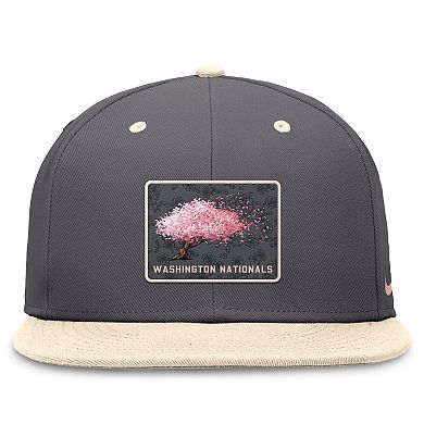 Men's Nike Graphite/Natural Washington Nationals City Connect True Fitted Hat