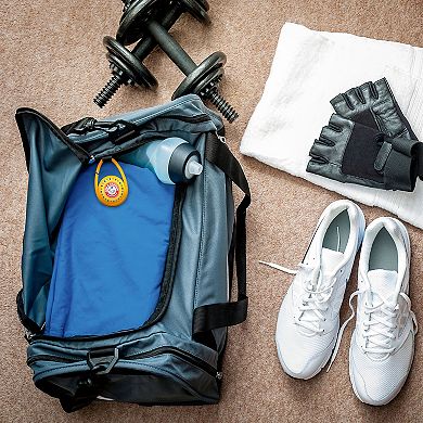 Arm & Hammer Odor Busterz Clip-N-Go 2-pk.