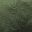 Estate Green Shine