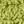 Green Essence