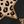 Classic Leopard