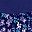 Evening Blue Flowers