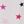 White Stars