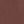 Hazelnut Brown
