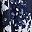 Navy Floral Print