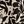 Black White Abstract