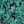 Green Black Print
