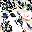Multi Floral