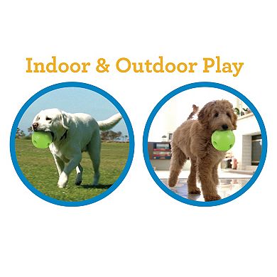 Pet Know Best Wobble Wag Giggle Bounce Pet Toy