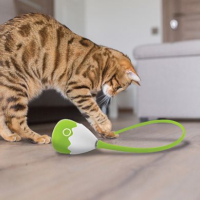 Pet Know Best PurrSpin Pet Toy