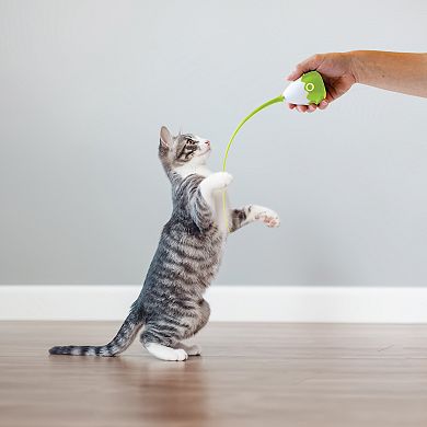 Pet Know Best PurrSpin Pet Toy