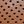 Cognac
