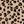 Classic Leopard