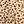 Classic Leopard