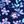 Evening Blue Flowers