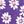 Plum Burst Daisy