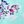 Lack Blue Floral