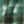 Rain Forest Omblur