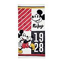 Character Beach Towels