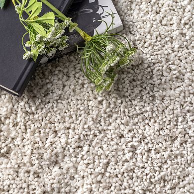 nuLOOM Clare Solid Shag Area Rug