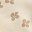 Beige Petal Flower