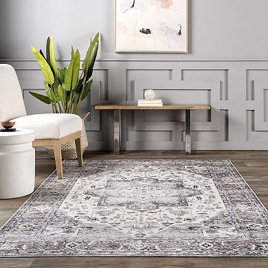 nuLOOM Ari Faded Spill Proof Area Rug