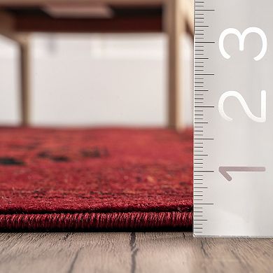 nuLOOM Diandra Traditional Motif Area Rug
